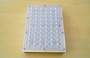 Mua Đèn led ngoài trời 60W Phụ kiện 1W Led 140lm - 150lm, Không thấm nước sản xuất trực tuyến